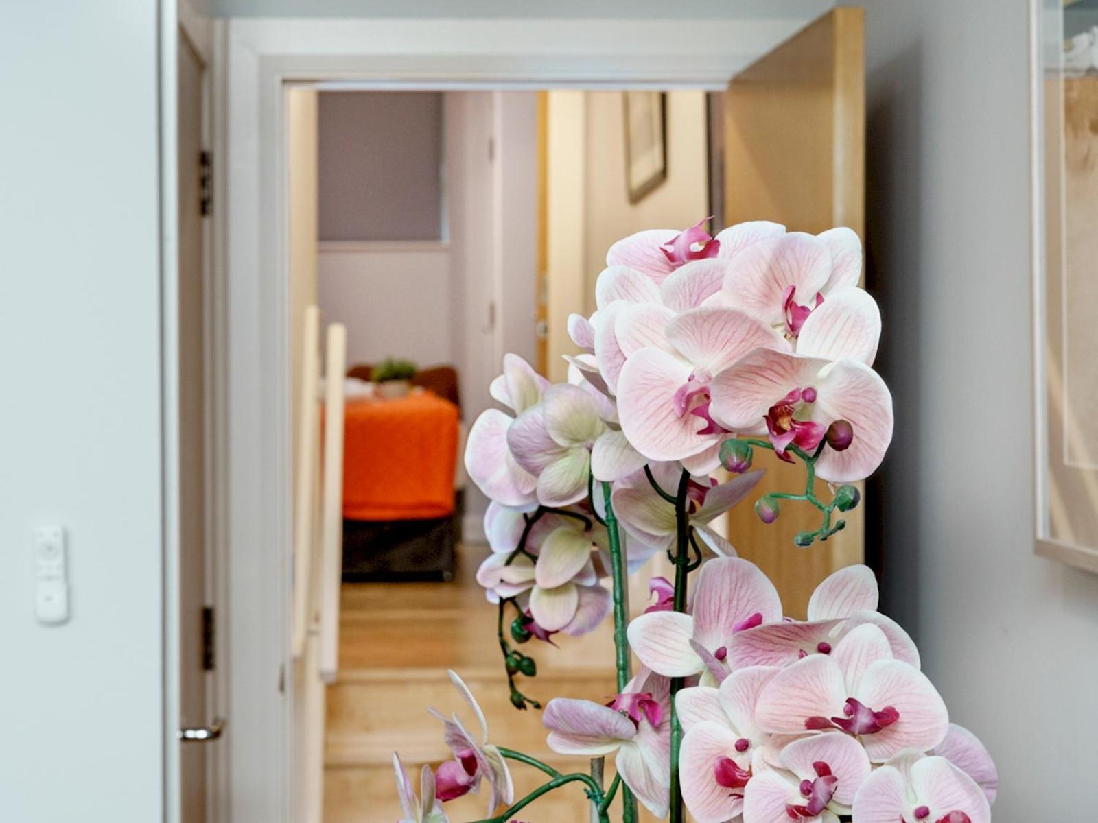 The Linen Mill Apartment Pass The Keys Belfast Exteriör bild